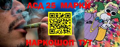PSILOCYBIN Заволжье